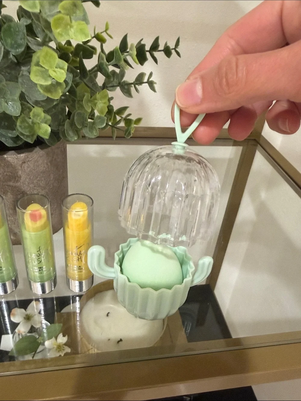 Cactus Make Up Sponge and Lip Balm Set